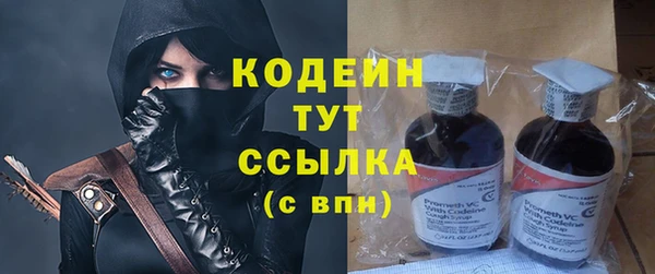 гашик Михайлов