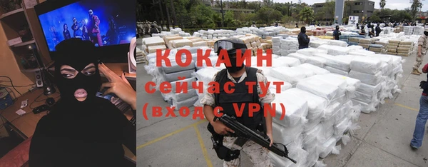 гидра Сясьстрой