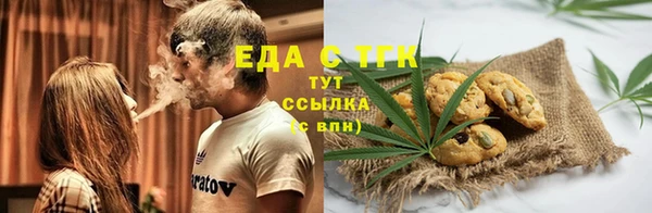 гашик Михайлов